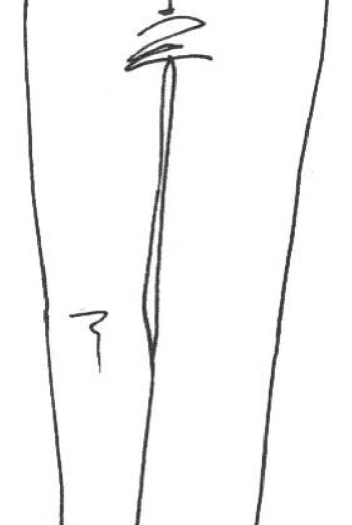 PAULA RYAN ESSENTIALS Slim Leg Slouch Pant - MicroModal - Paula Ryan