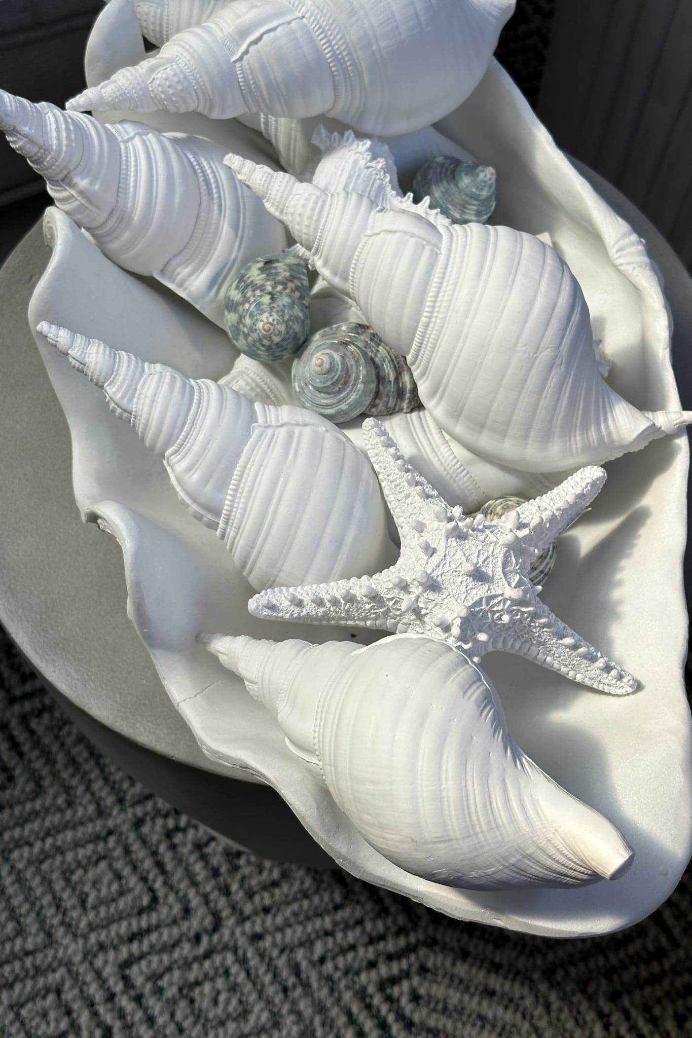 Conch Resin Shell - White - Magpie Style