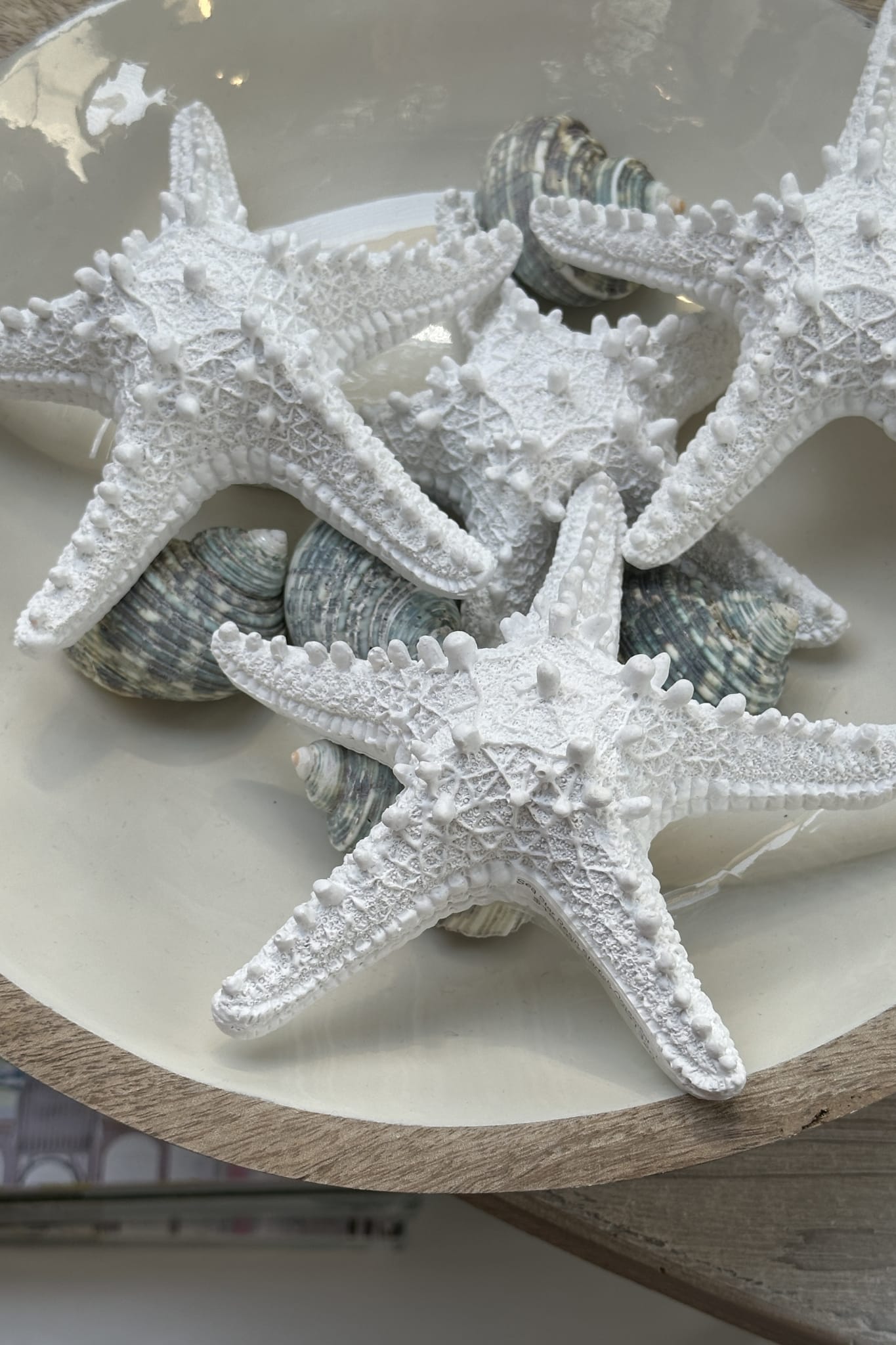 Sea Star Resin Starfish Ornament - Lge - Magpie Style