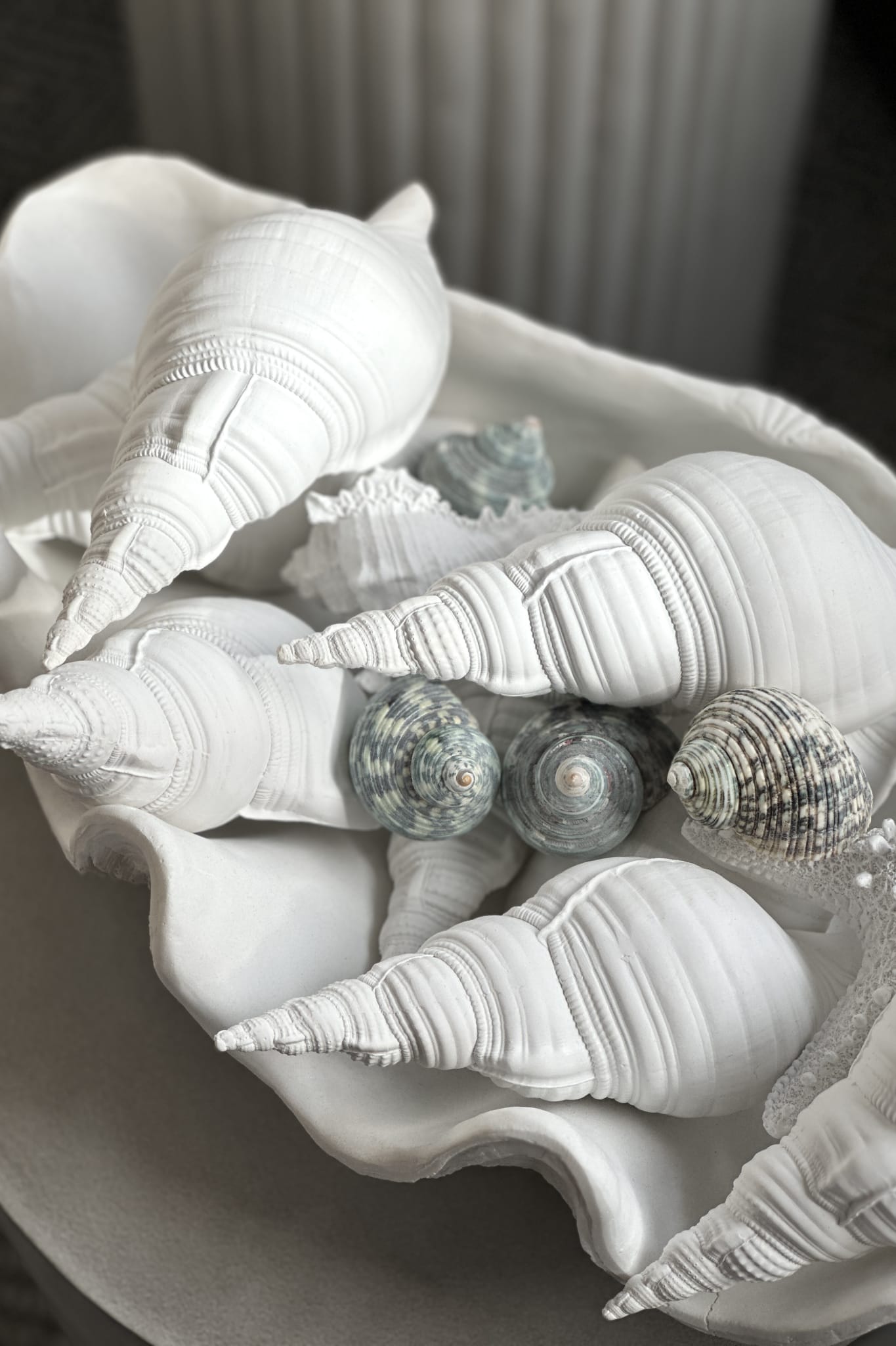 Conch Resin Shell - White - Magpie Style