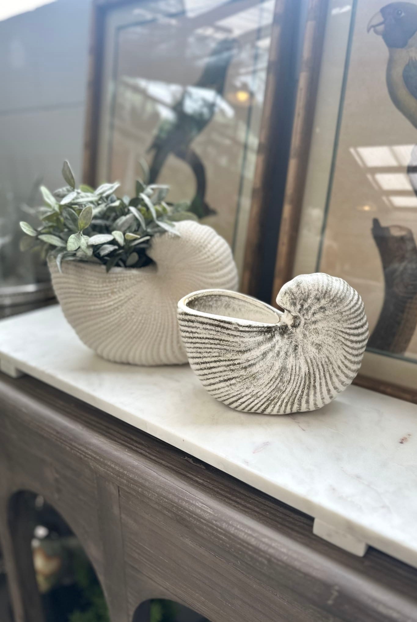 Nautilus Ceramic Planter - Natural - Magpie Style