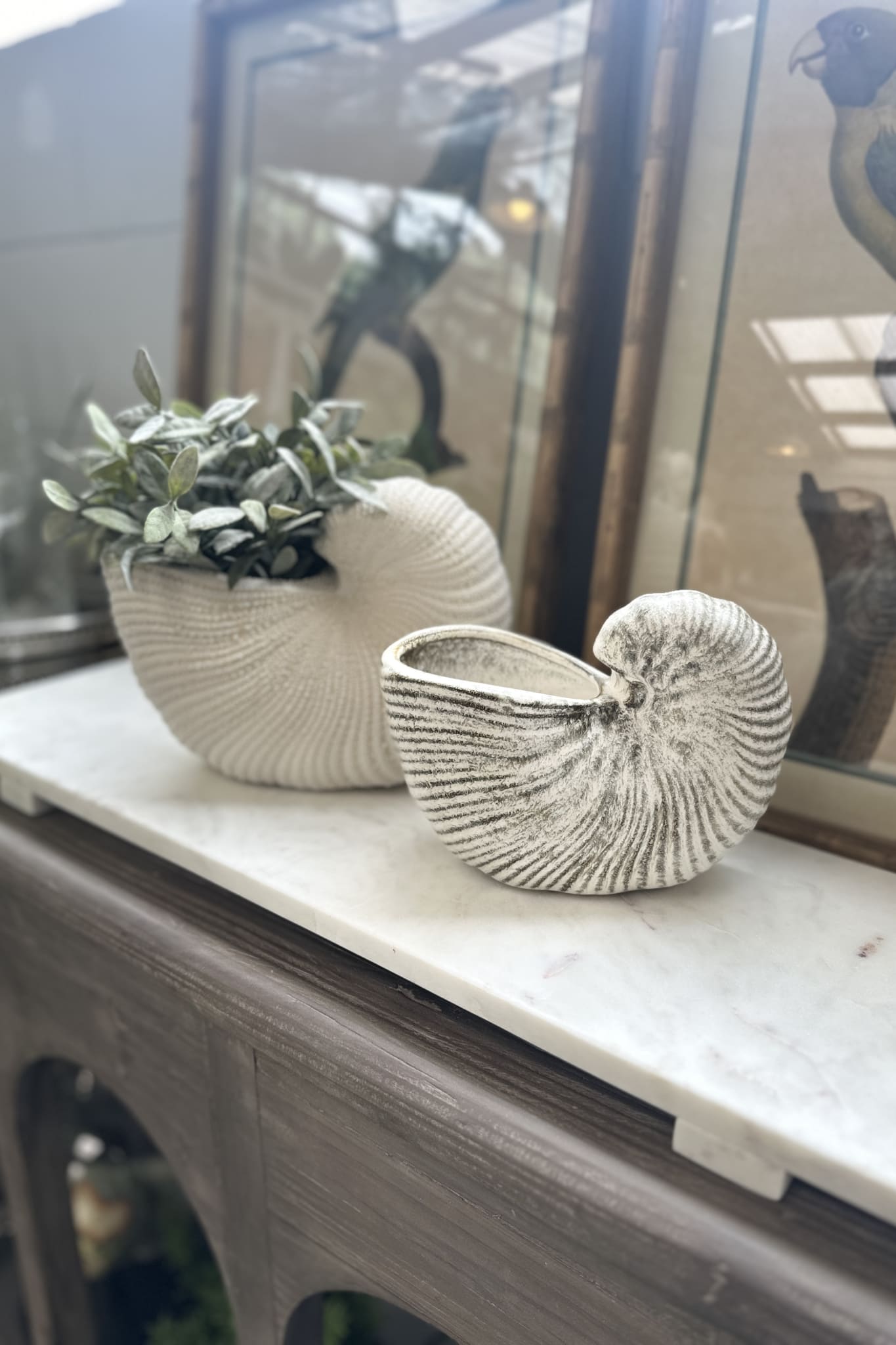 Nautilus Ceramic Planter - Natural - Magpie Style