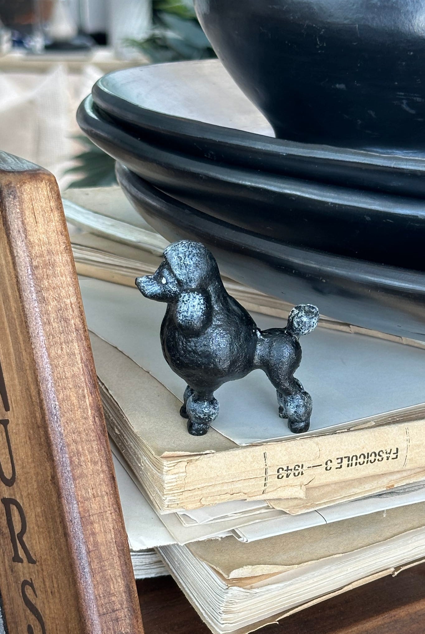 Poodle Black - Magpie Style