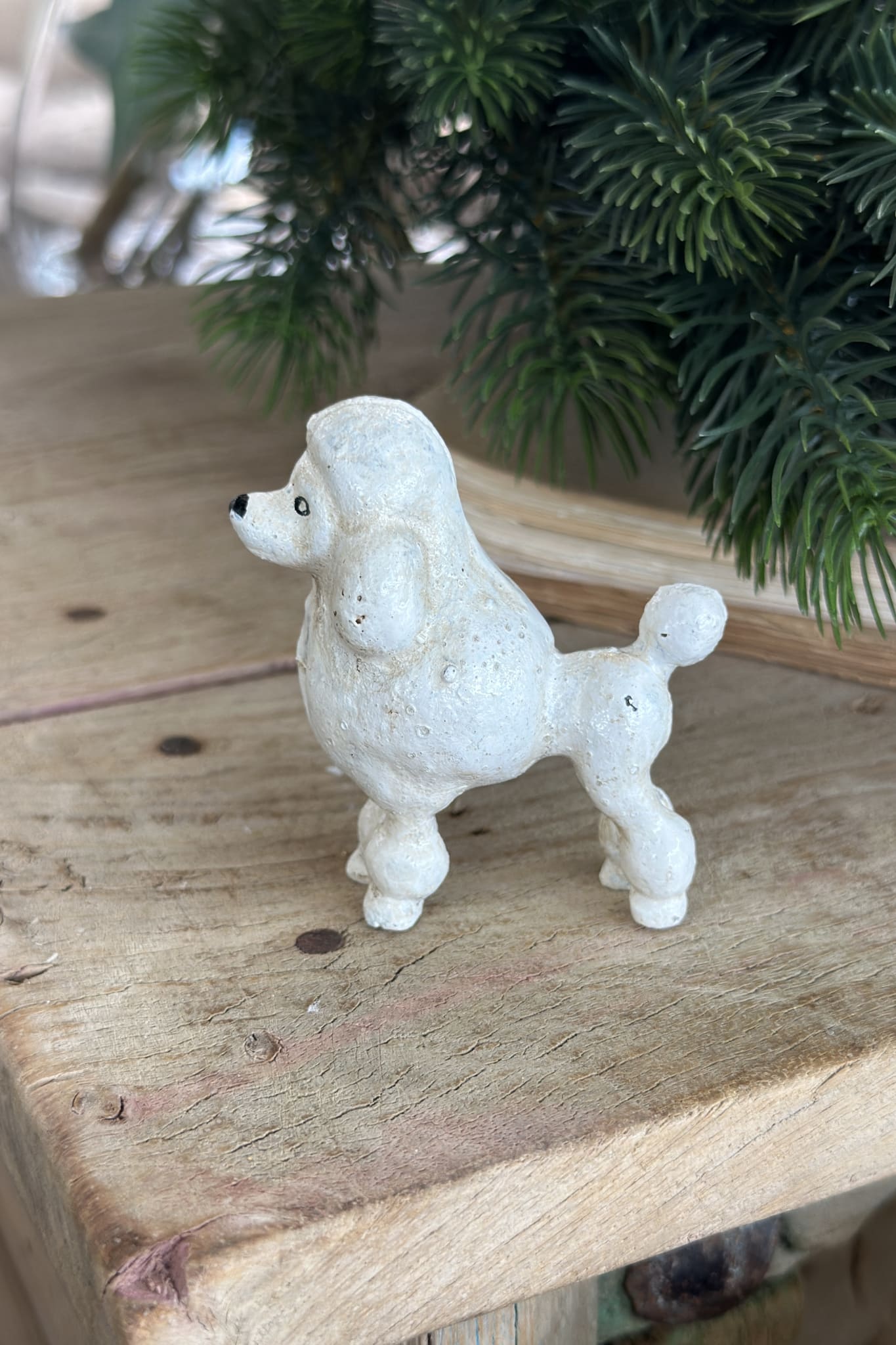 Poodle White - Magpie Style