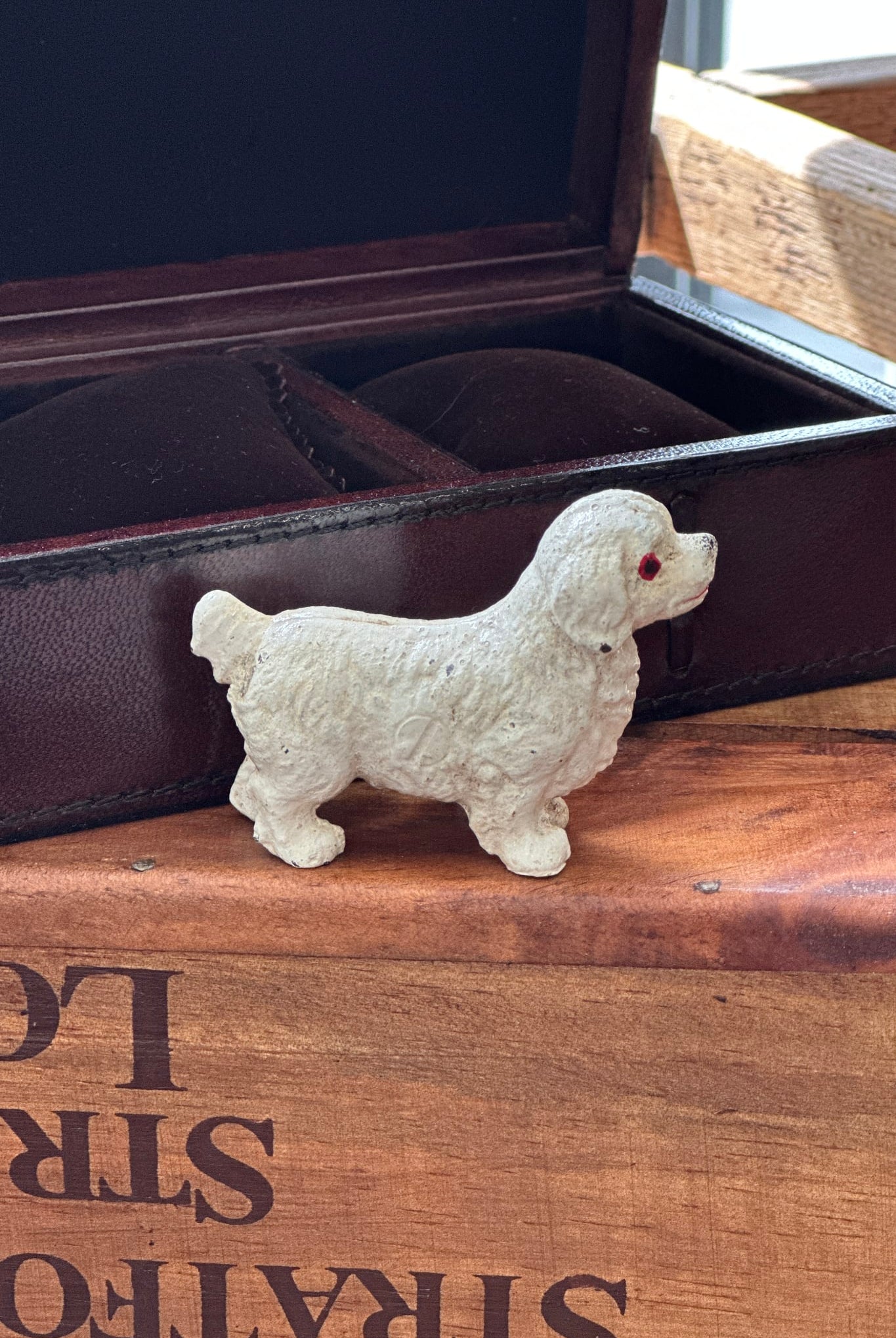 Fluffy White Dog - Magpie Style