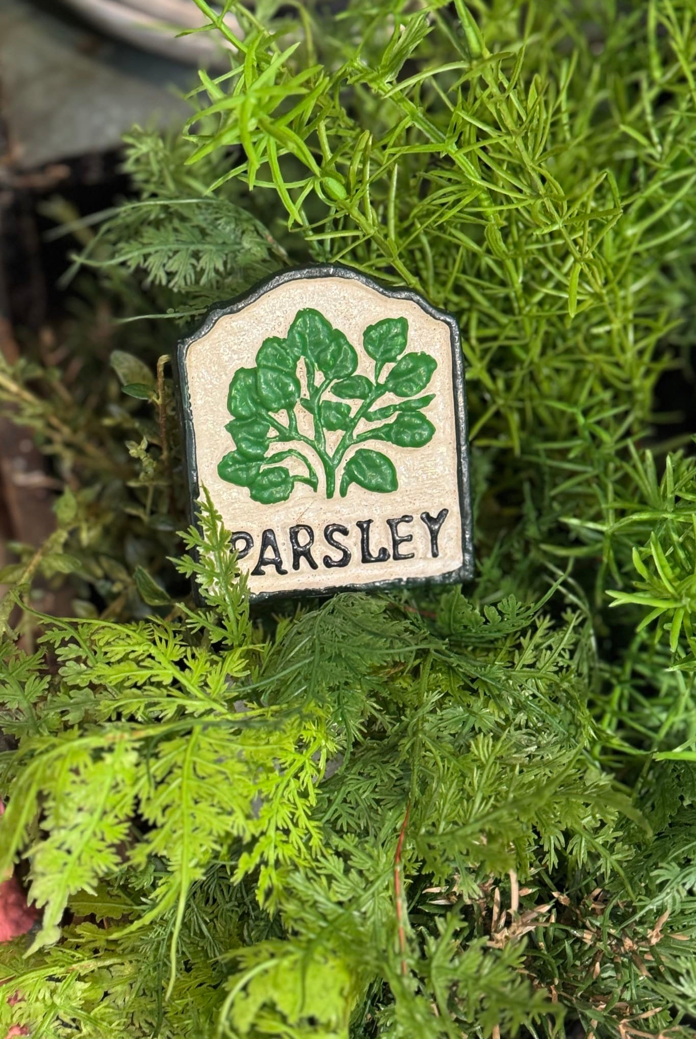 Parsely Herb Sign - Magpie Style