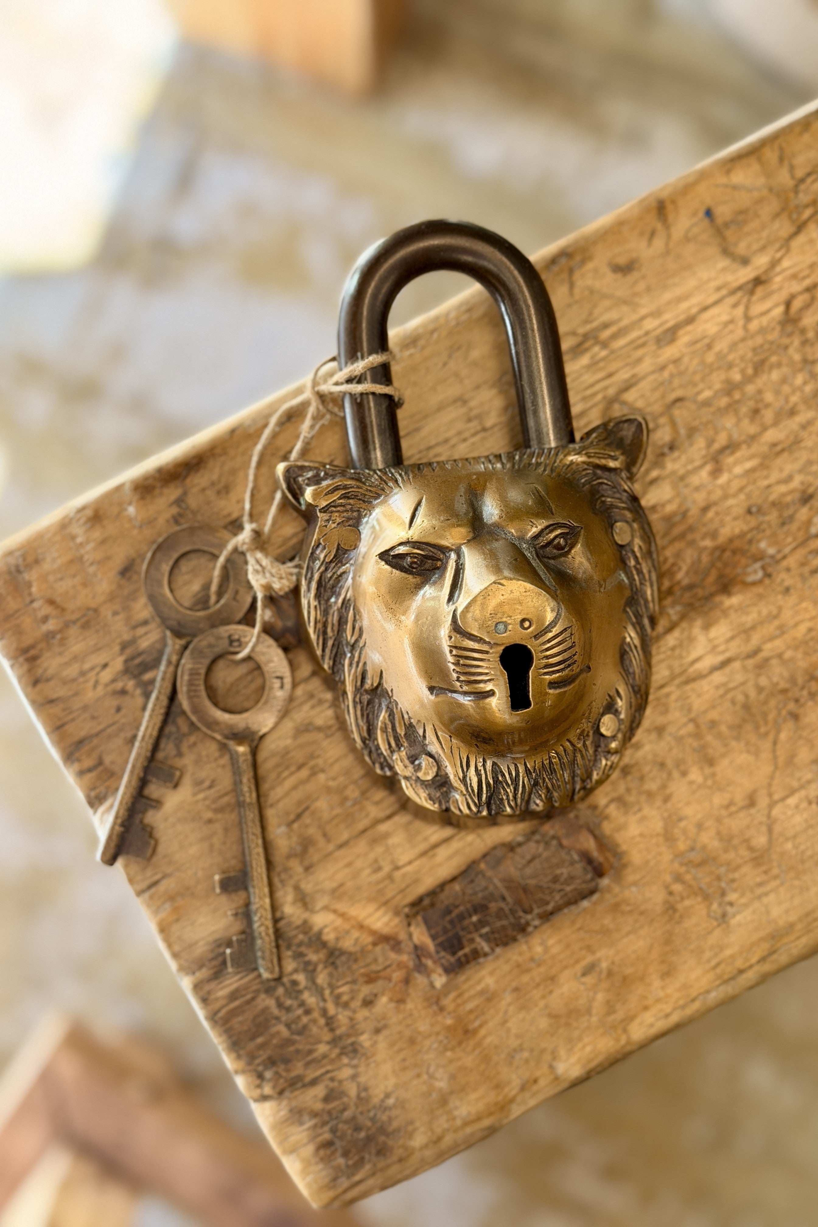 Lion Lock - Brass - Magpie Style