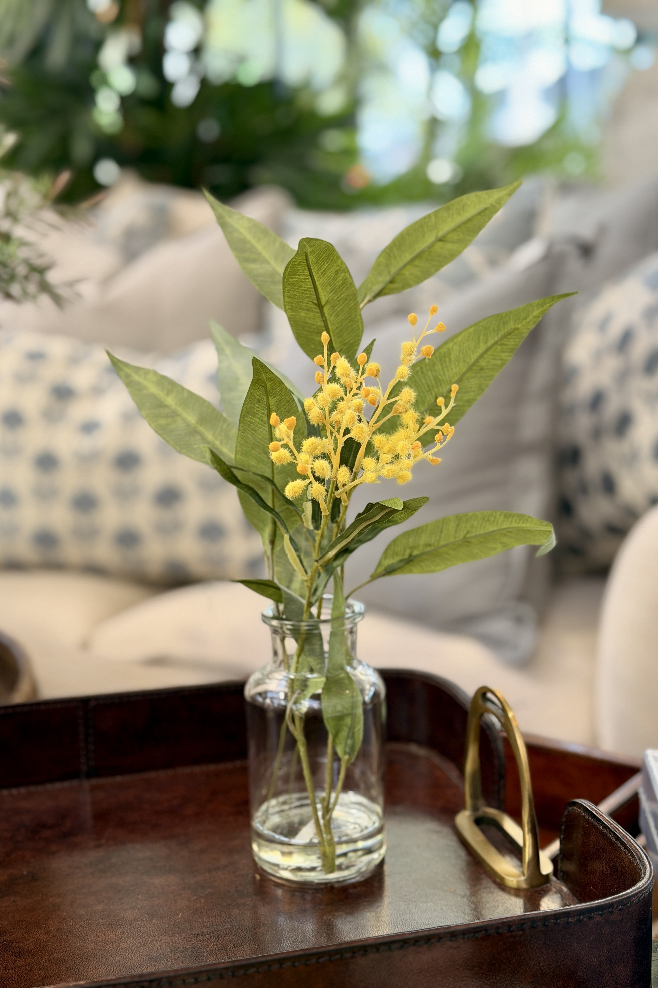 Wattle Spray Yellow - Specimen - Magpie Style