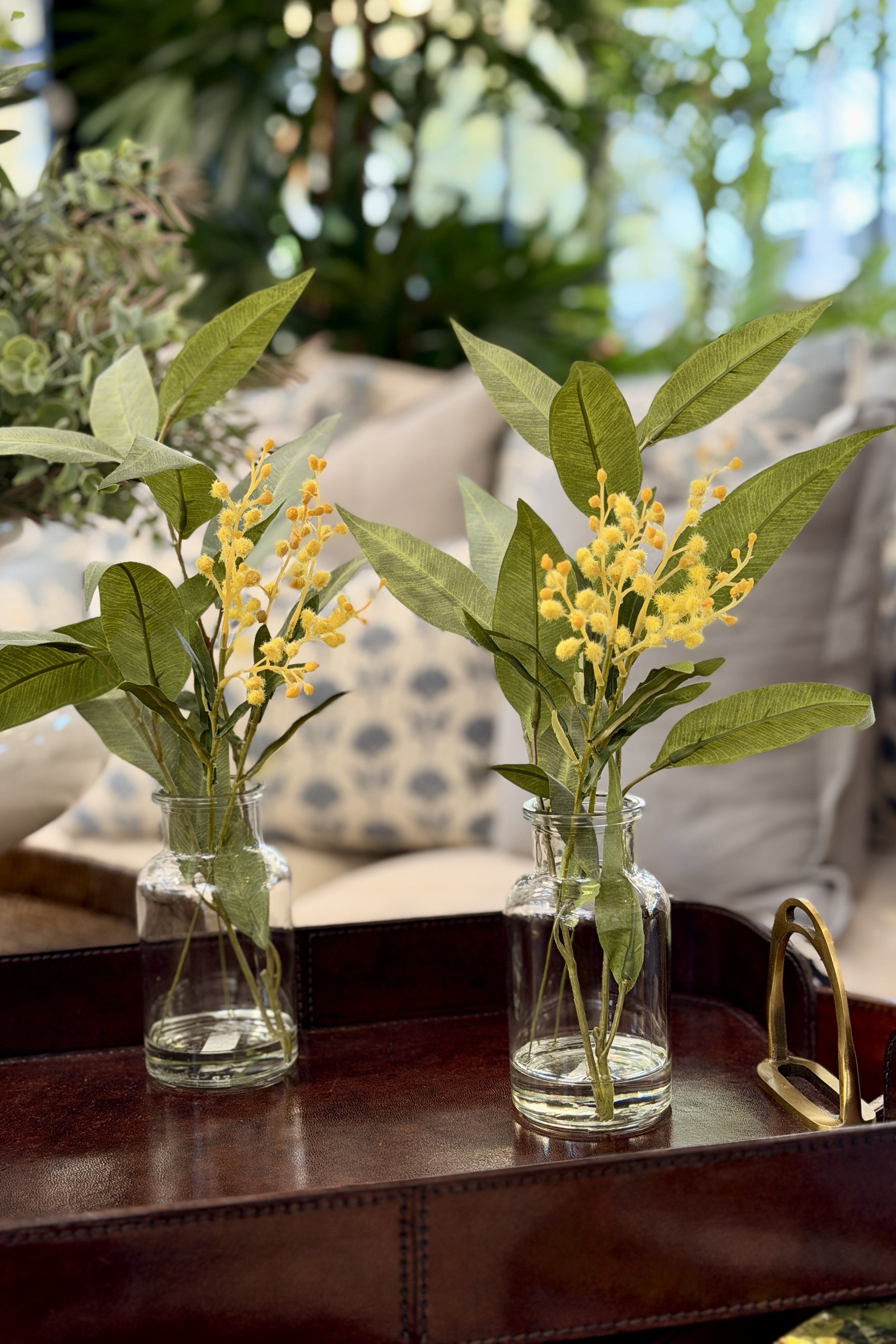 Wattle Spray Yellow - Specimen - Magpie Style