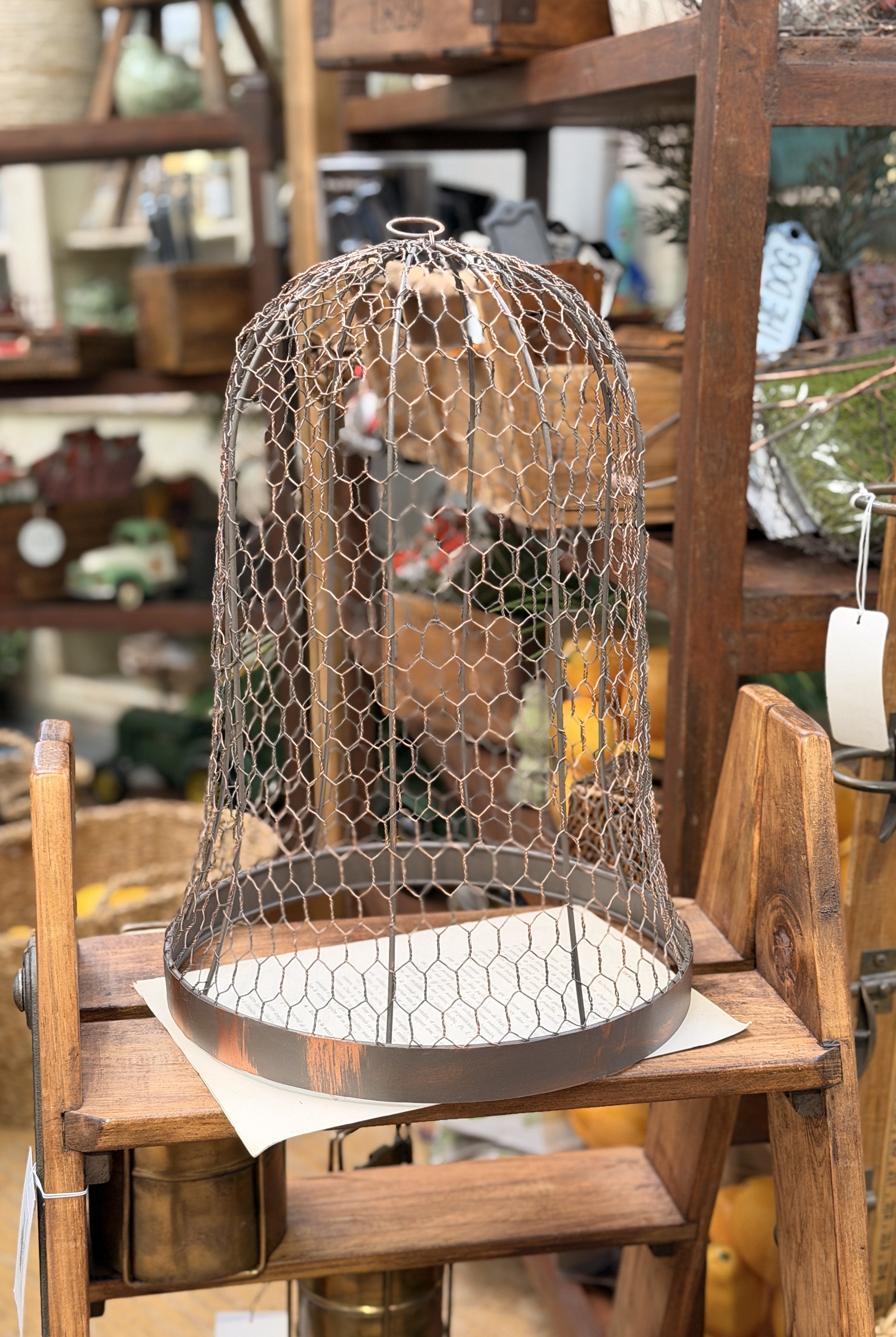 Metal Wire Cloche - Magpie Style