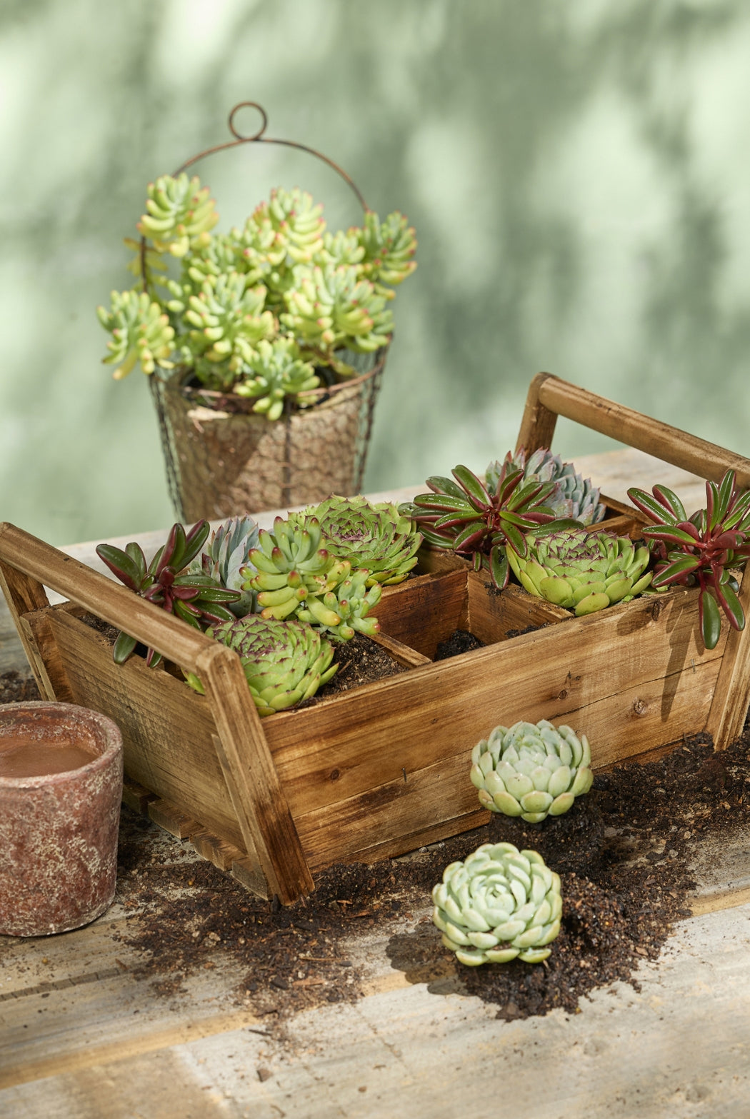 Wooden Plant Box - 6 Square - Magpie Style