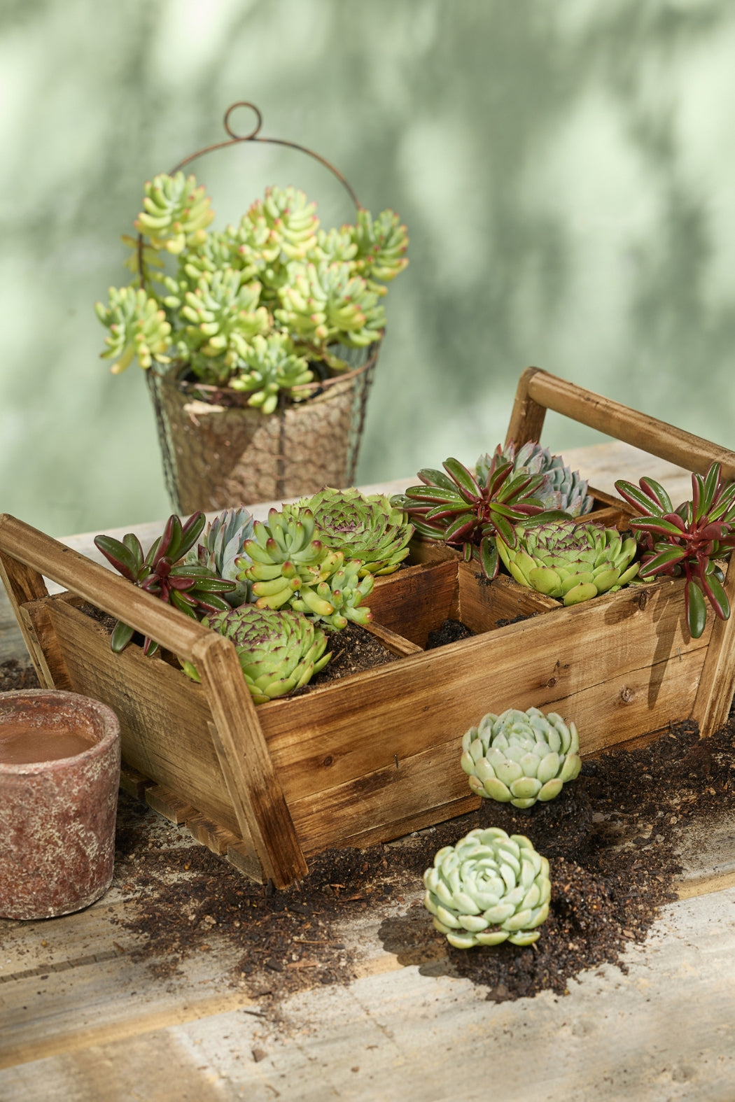 Wooden Plant Box - 6 Square - Magpie Style