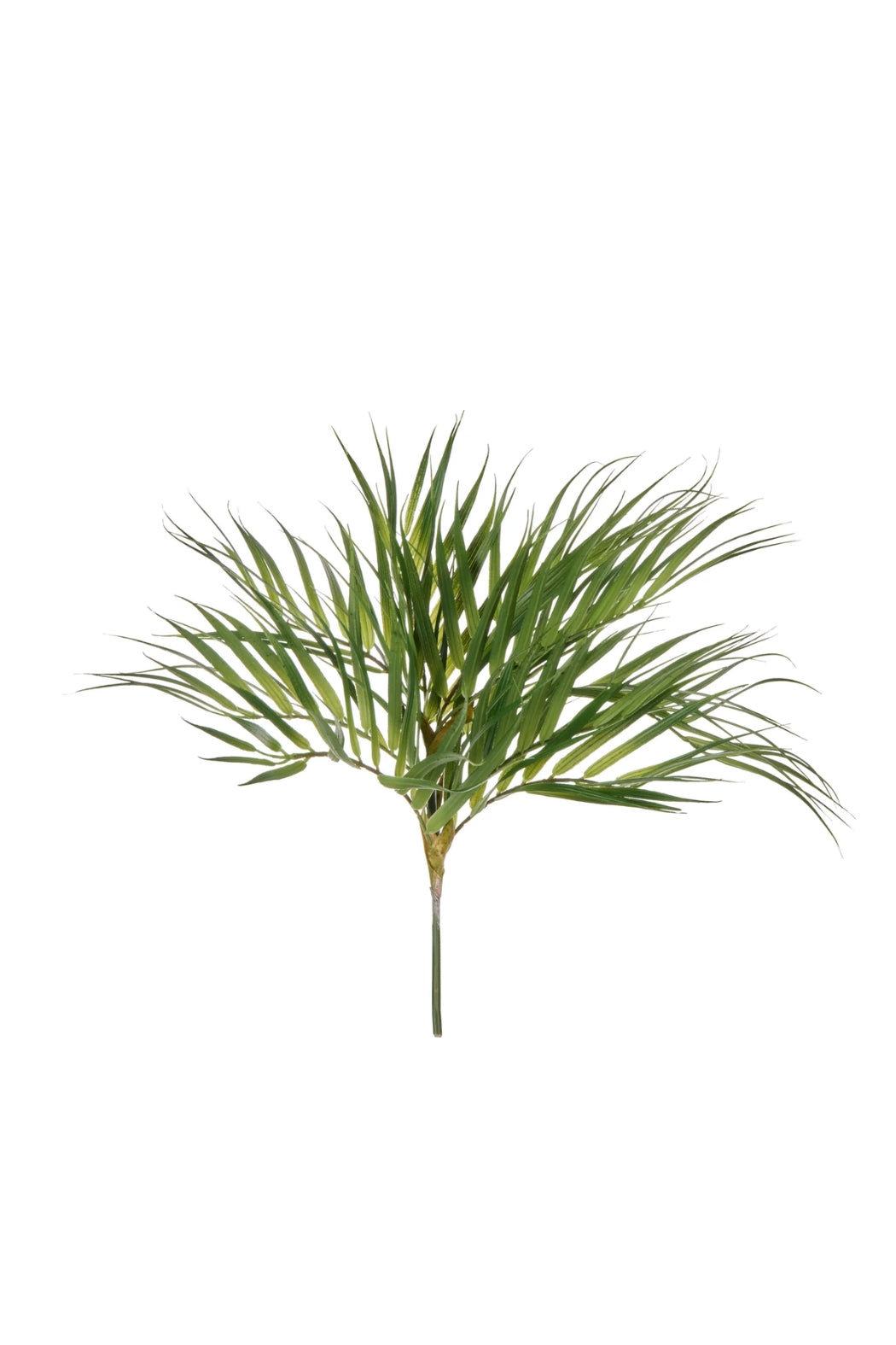 Areca Palm Stem - Magpie Style