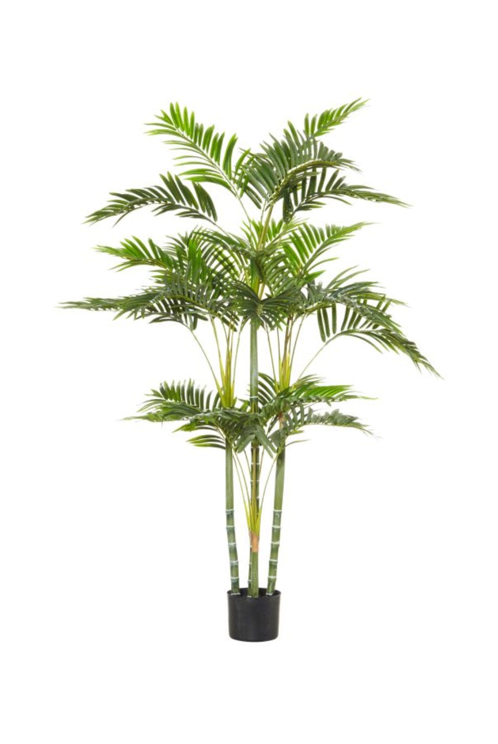 Faux Cane Palm - Magpie Style