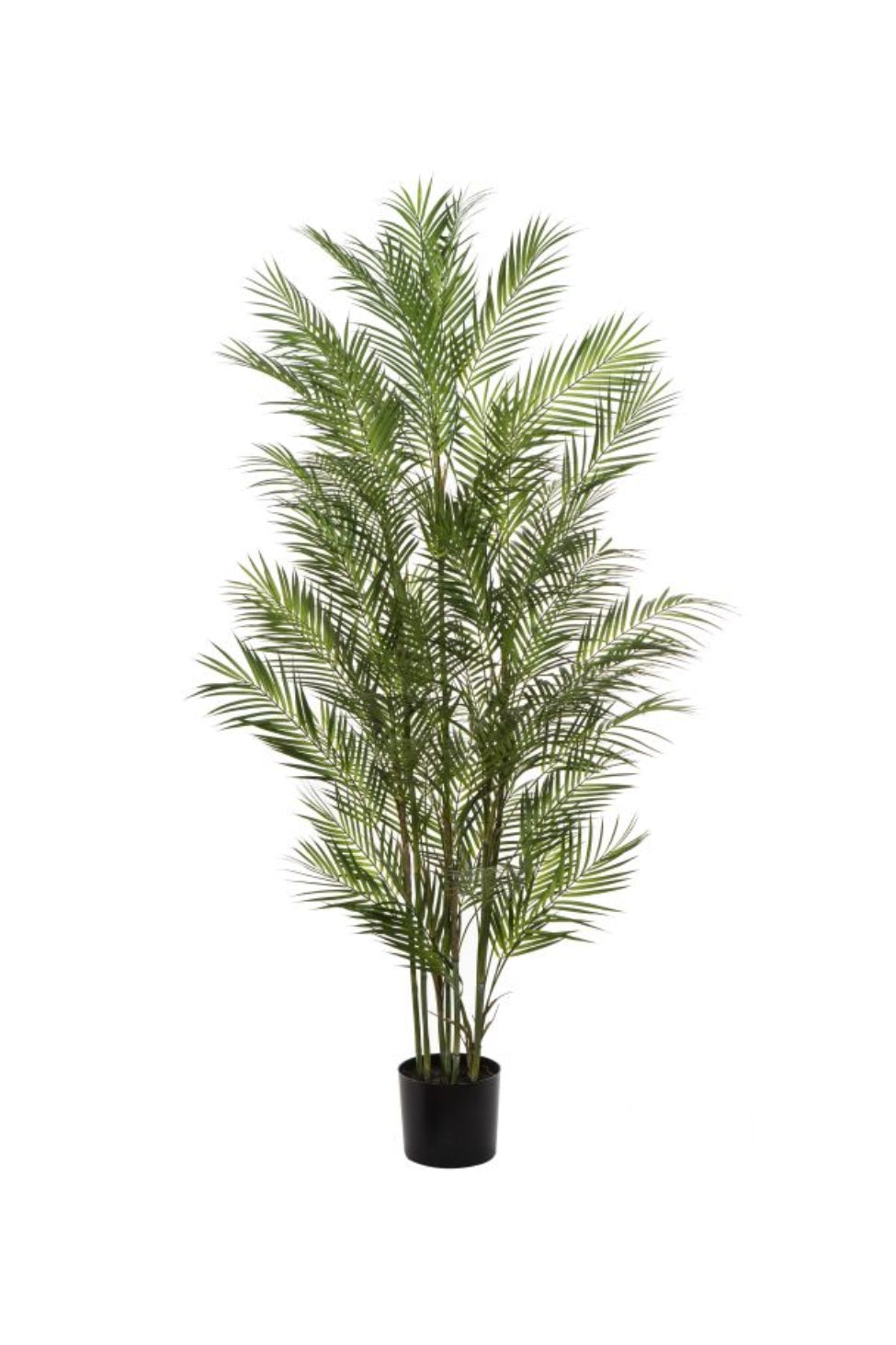 Faux Phoenix Palm in Pot - Magpie Style