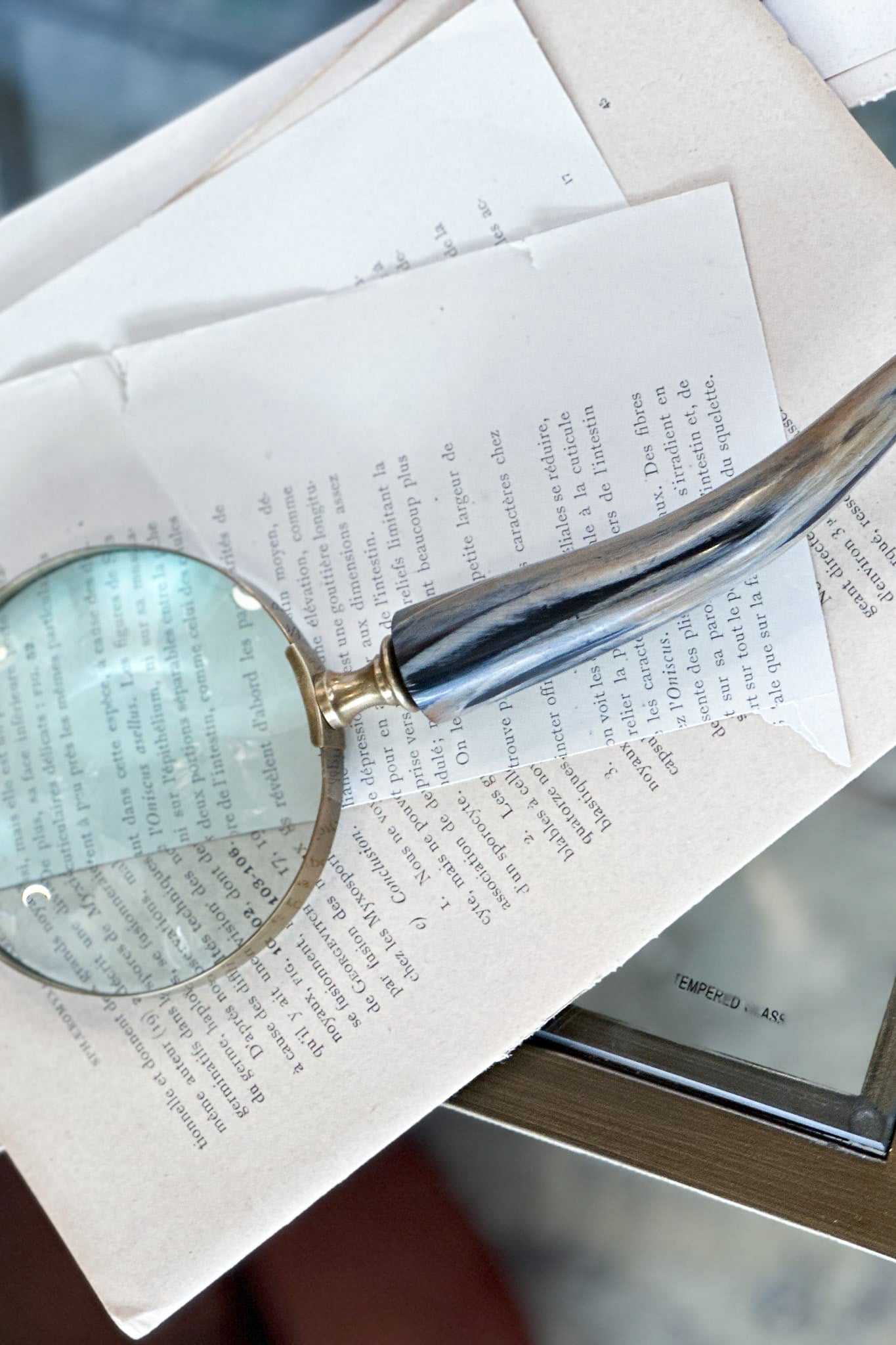 Brass Aluminium Magnifier with Horn Handle - Magpie Style