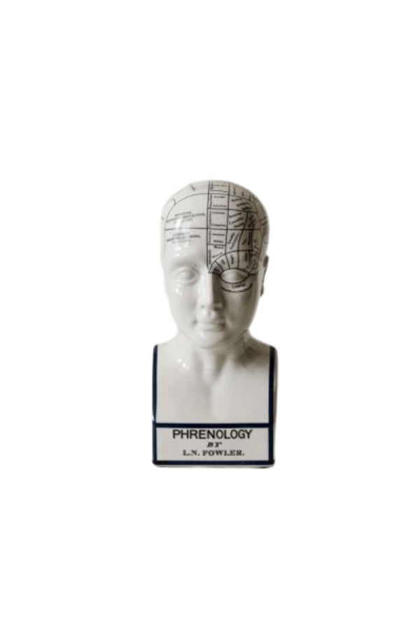 Phrenology Head - Large - Magpie Style