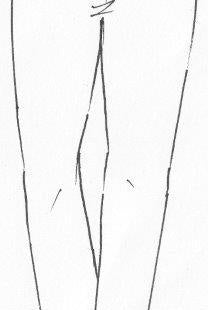 PAULA RYAN RELAXED Basque Legging - Roma Lite - Paula Ryan