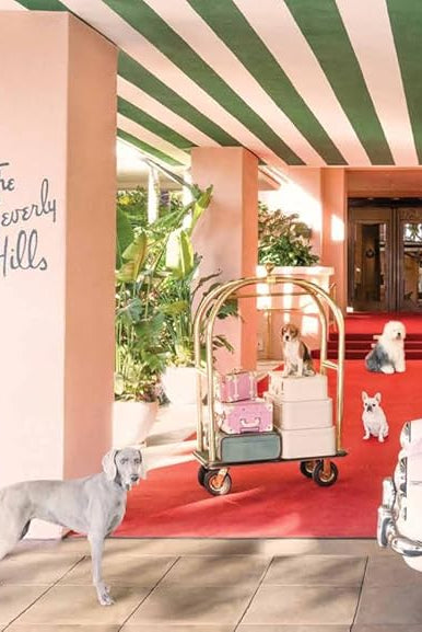 Gray Malin: Dogs - Magpie Style