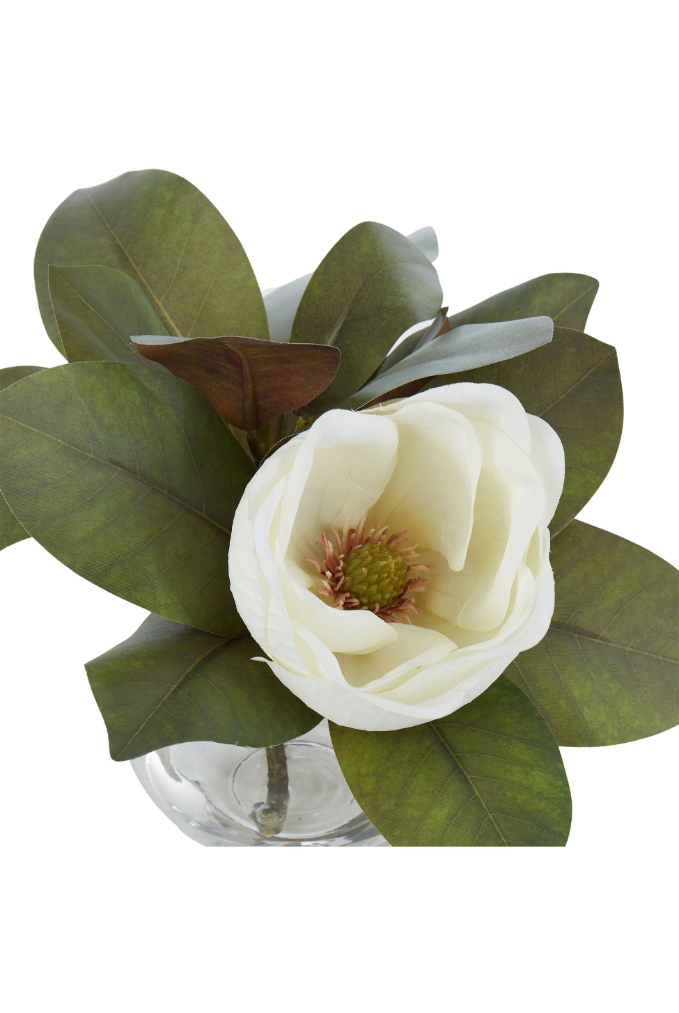Magnolia Bloom Vase - Magpie Style
