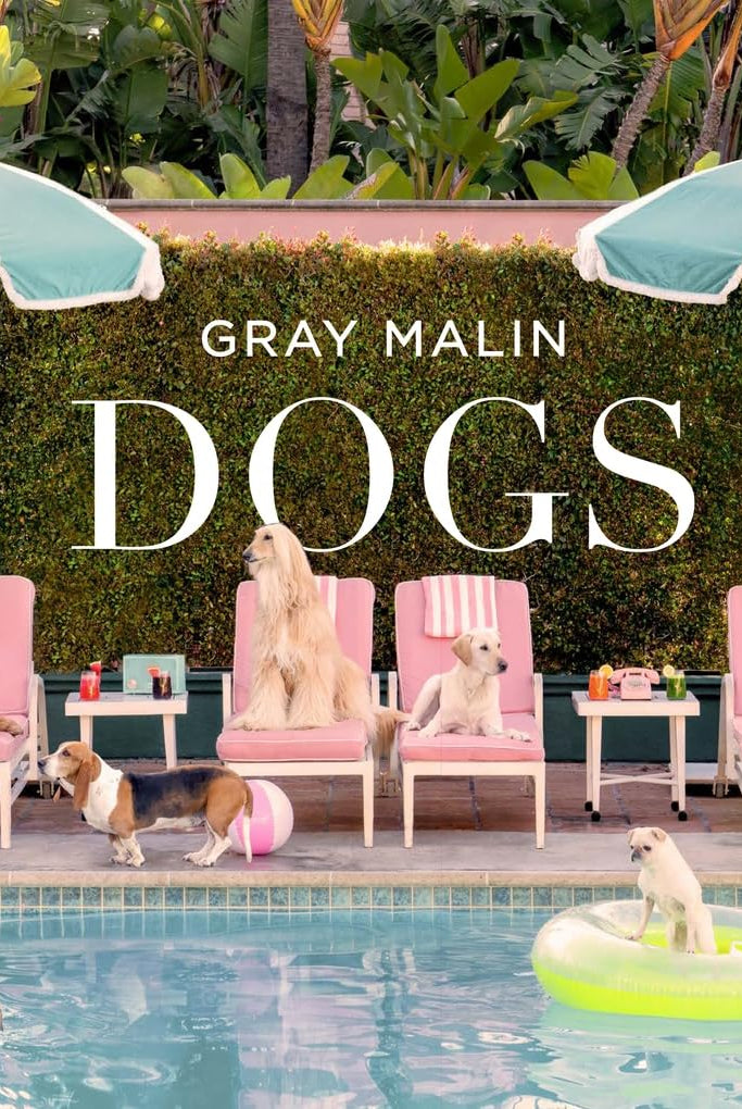 Gray Malin: Dogs - Magpie Style