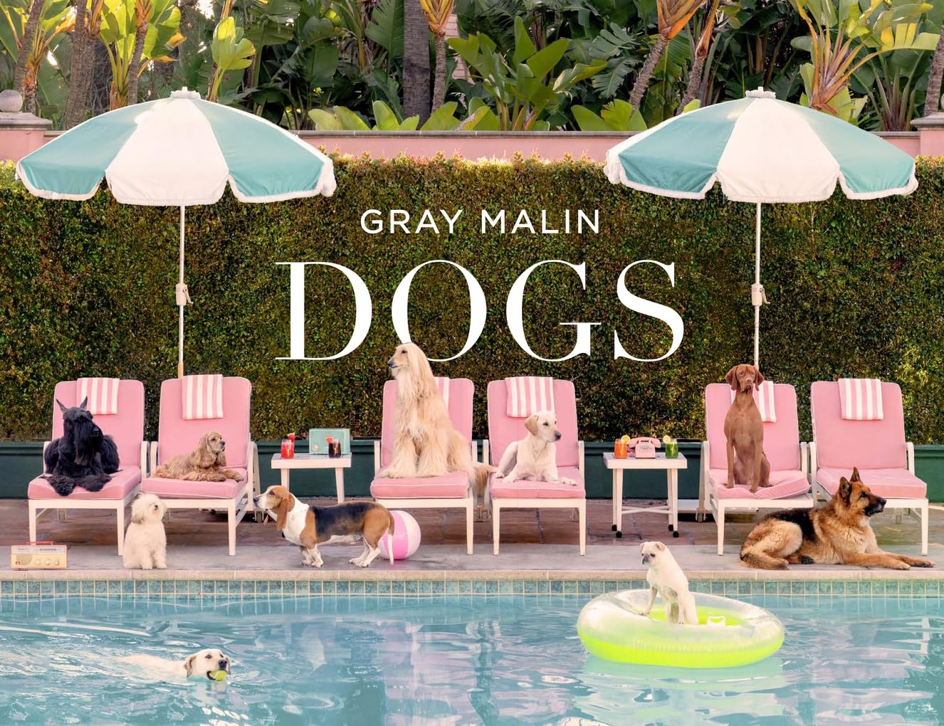 Gray Malin: Dogs - Magpie Style