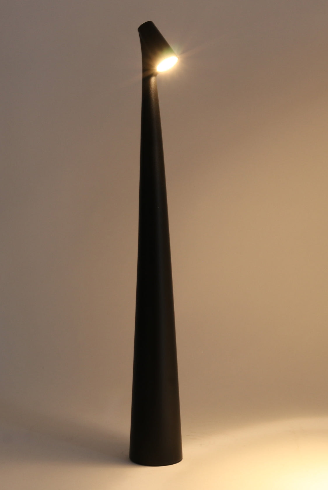Noir Sculptural Rechargeable Lamp - Magpie Style
