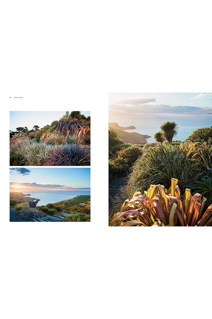 Dreamscapes: Inspiration and Beauty in Gardens Near and Far - Magpie Style