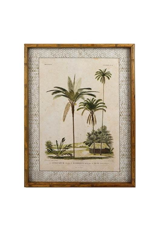 Zanzibar Village Palms Glass Framed Print - Magpie Style