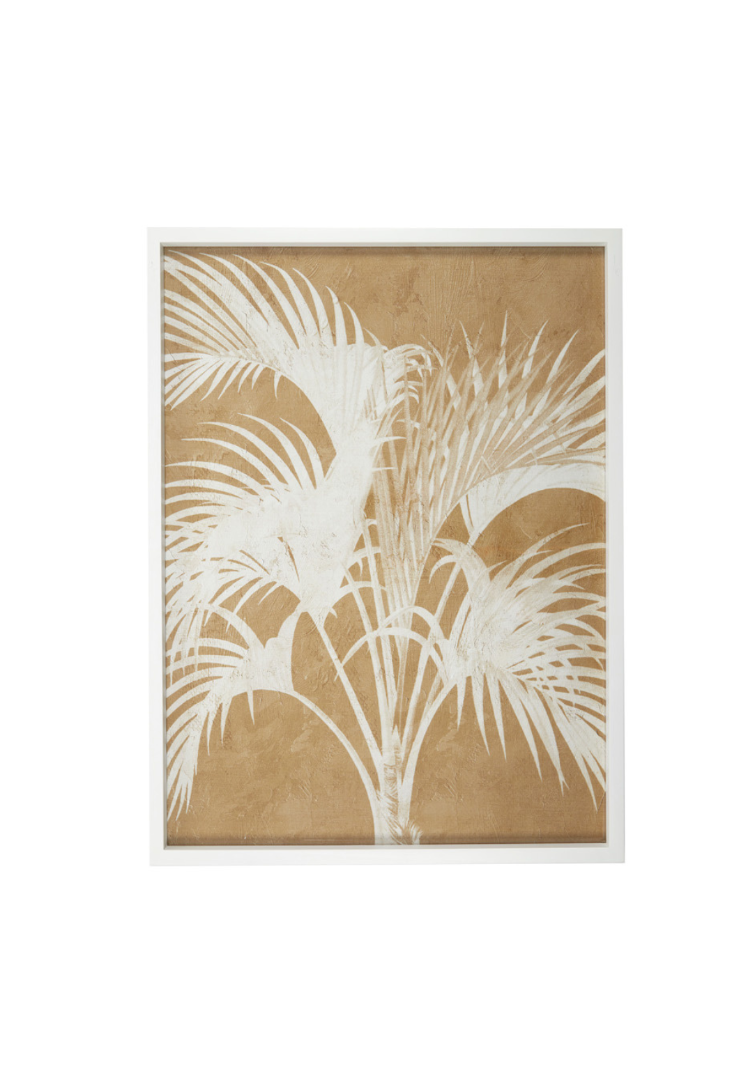 Calathea Frame Glass Print - Magpie Style