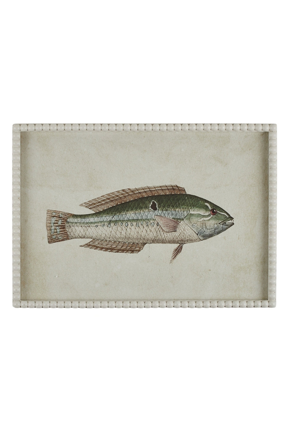 Pearled Coastal Fish Study A - Magpie Style