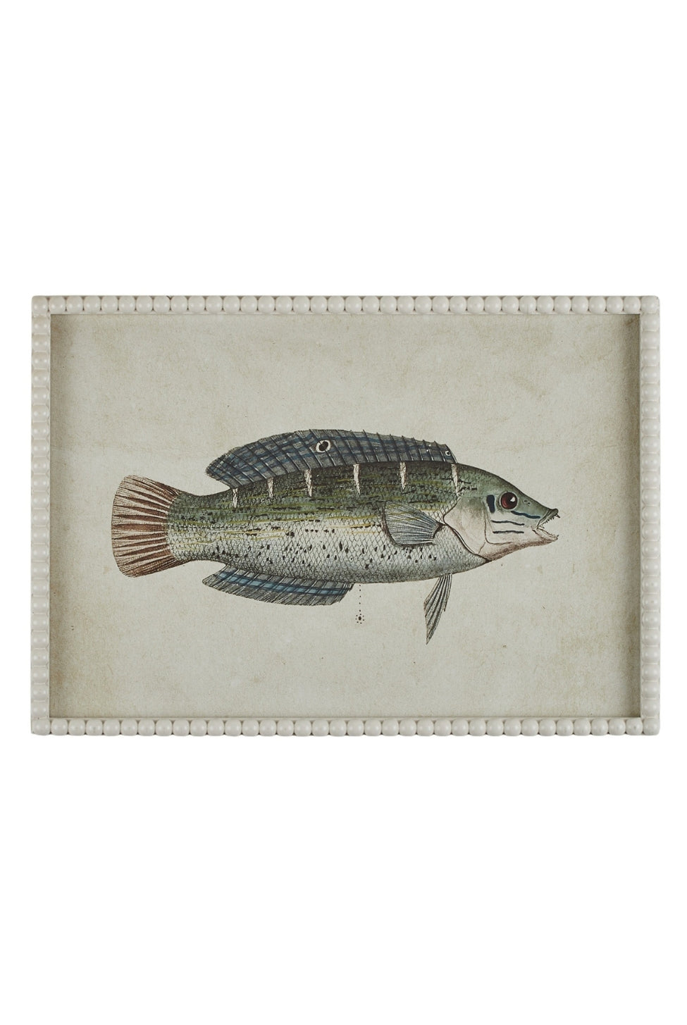 Pearled Coastal Fish Study B - Magpie Style