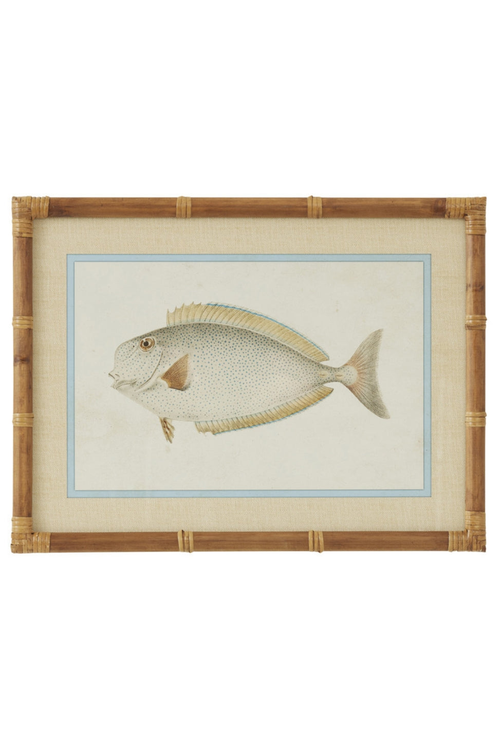 Laguna Reef Fish Study II - Magpie Style
