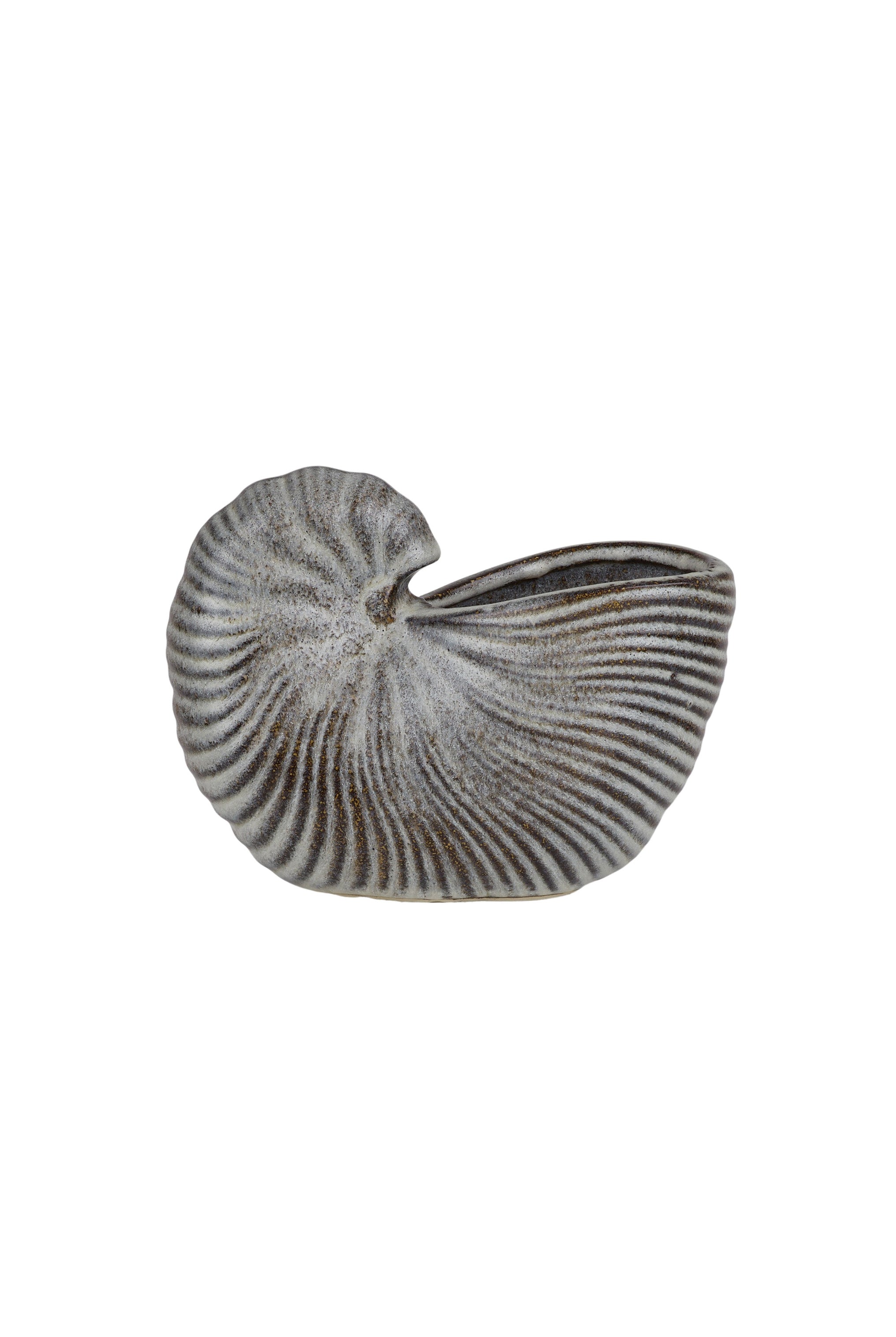 Nautilus Ceramic Planter - Natural - Magpie Style