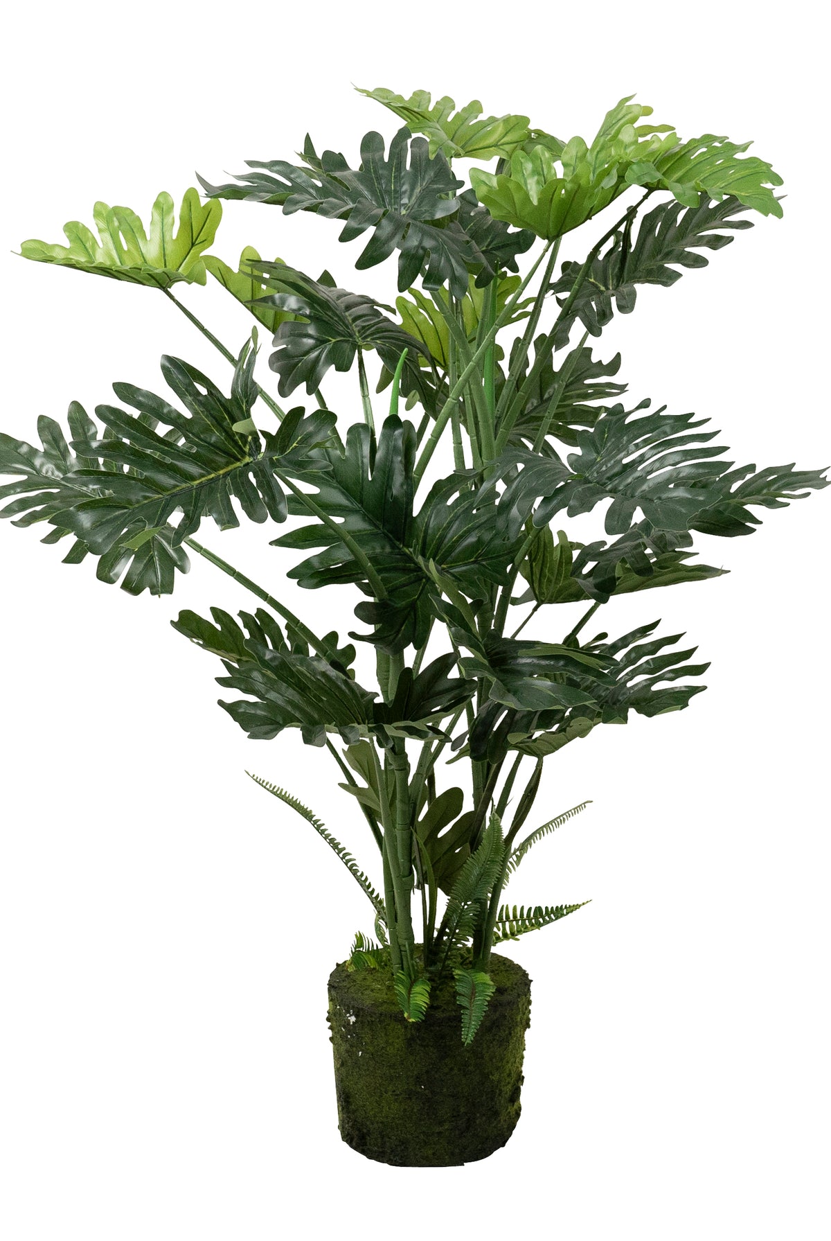 Montsteria Bare Rot Palm Large - Magpie Style