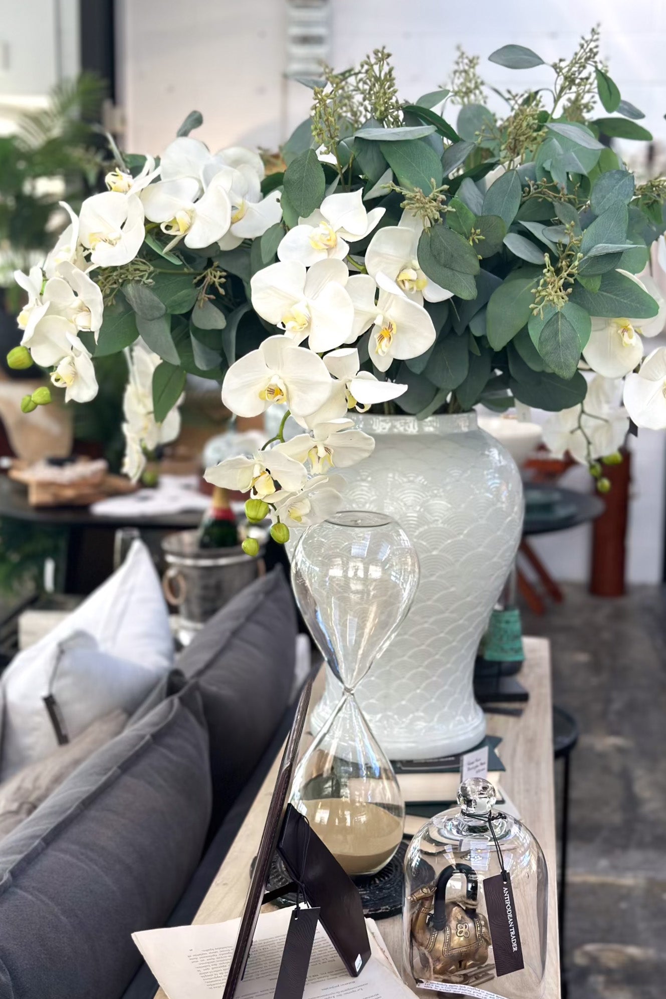 Natural Touch Moth Orchid Stem - XL - Magpie Style