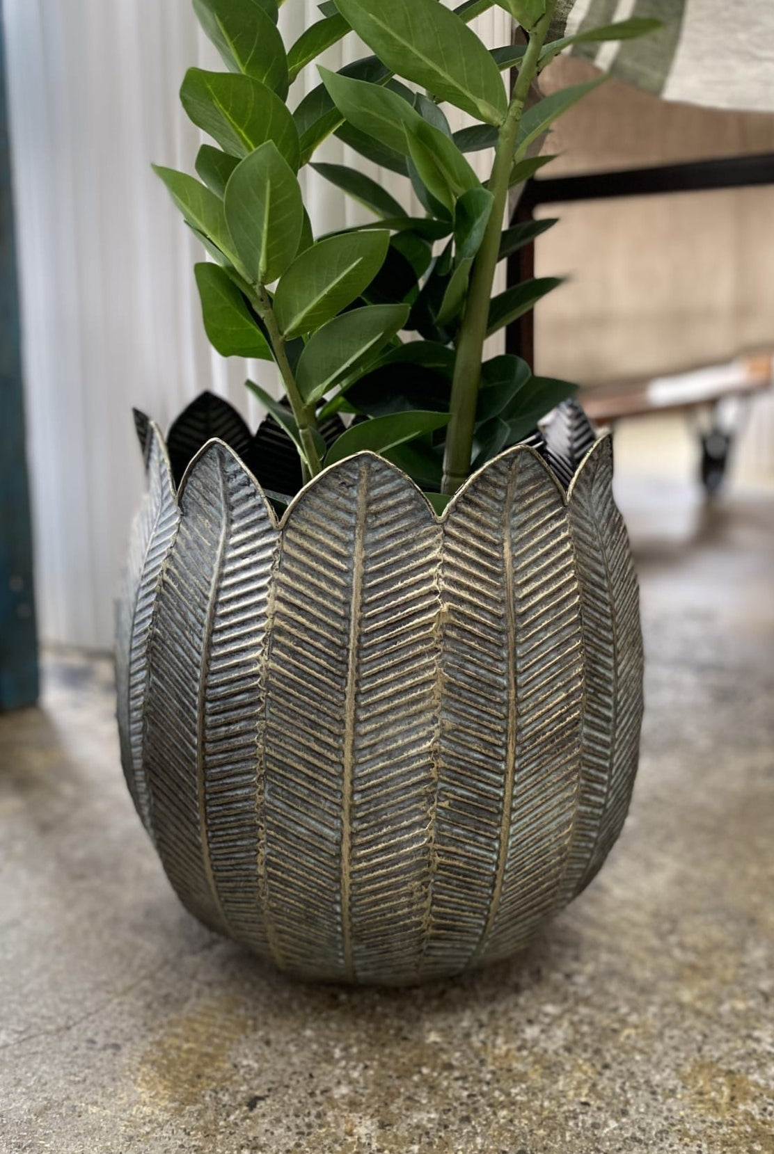 Demi Planter Antique Black Medium - Magpie Style