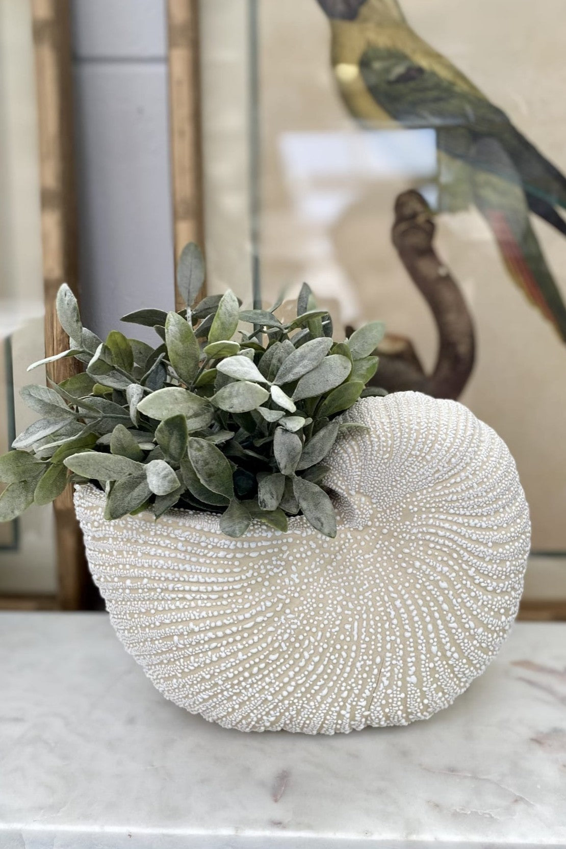 Nautilus Ceramic Planter White - Magpie Style