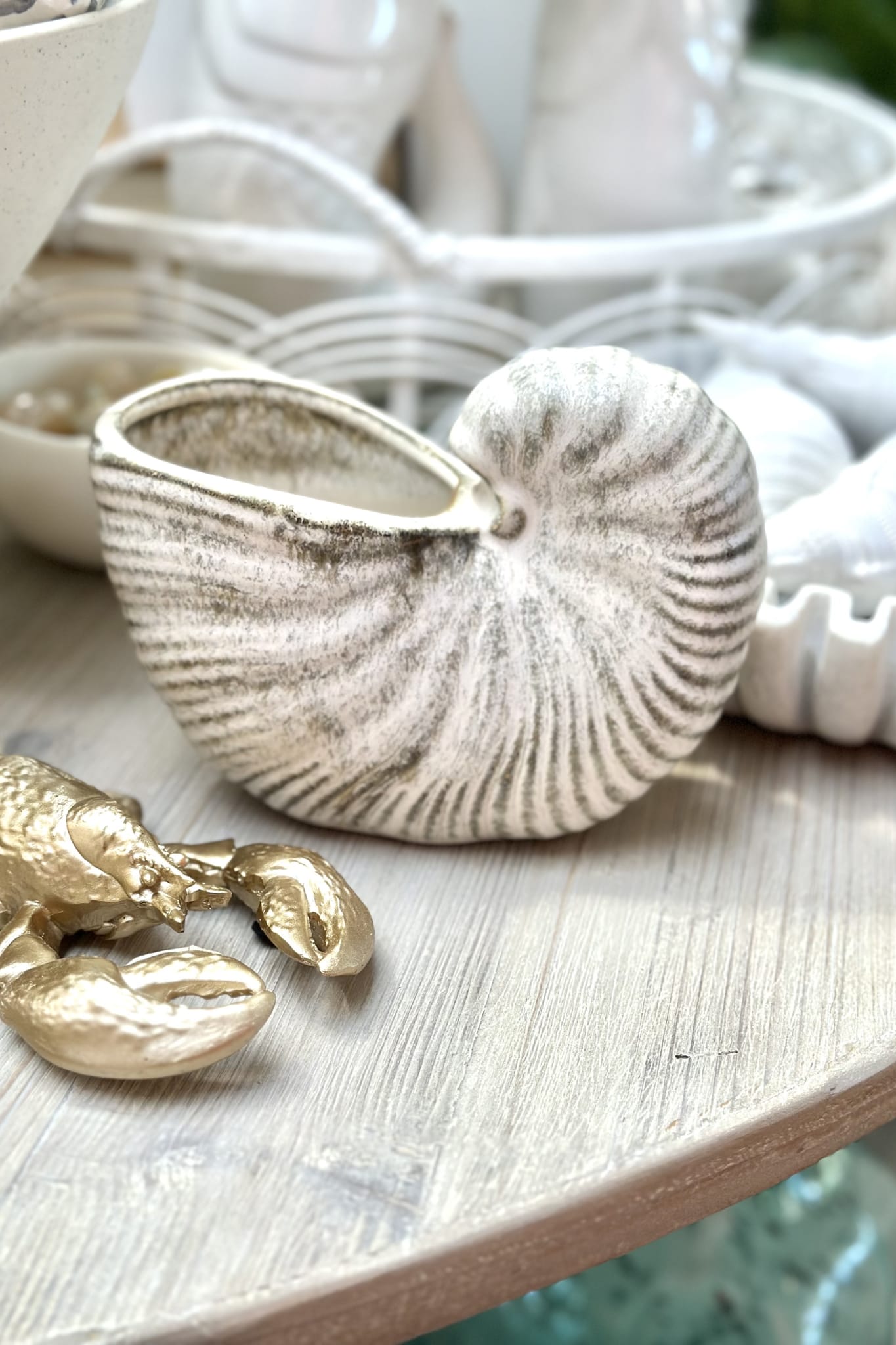 Nautilus Ceramic Planter - Natural - Magpie Style