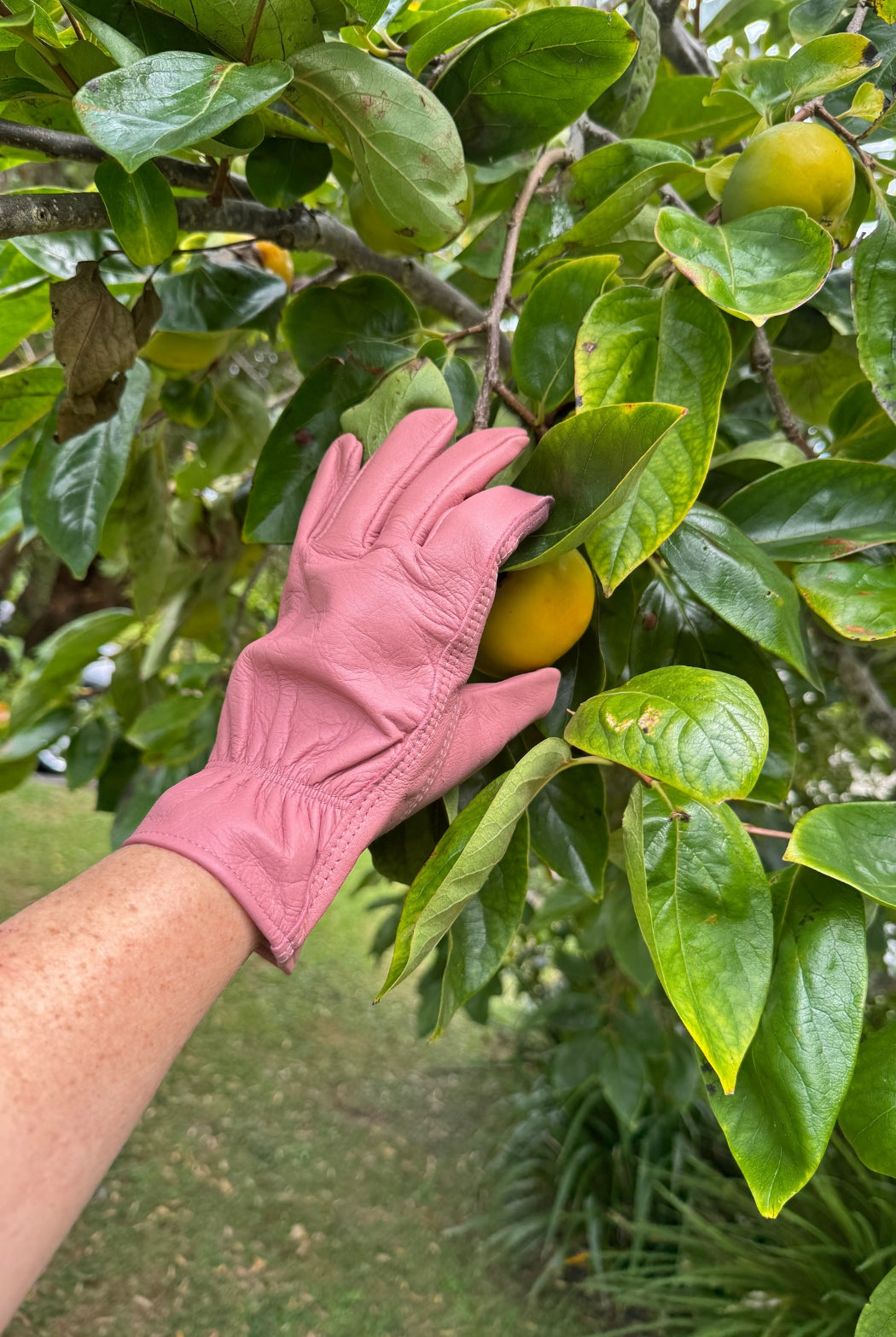 Small Leather Gardening Glove - Pink - Magpie Style