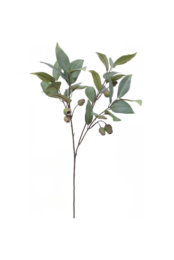 Gum Nut Spray - Large - Magpie Style