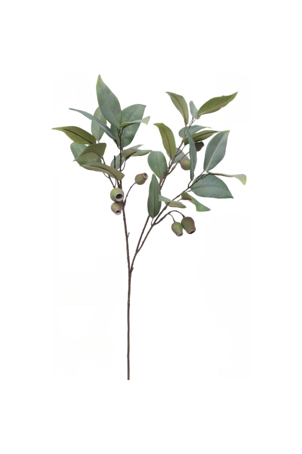 Gum Nut Spray - Large - Magpie Style