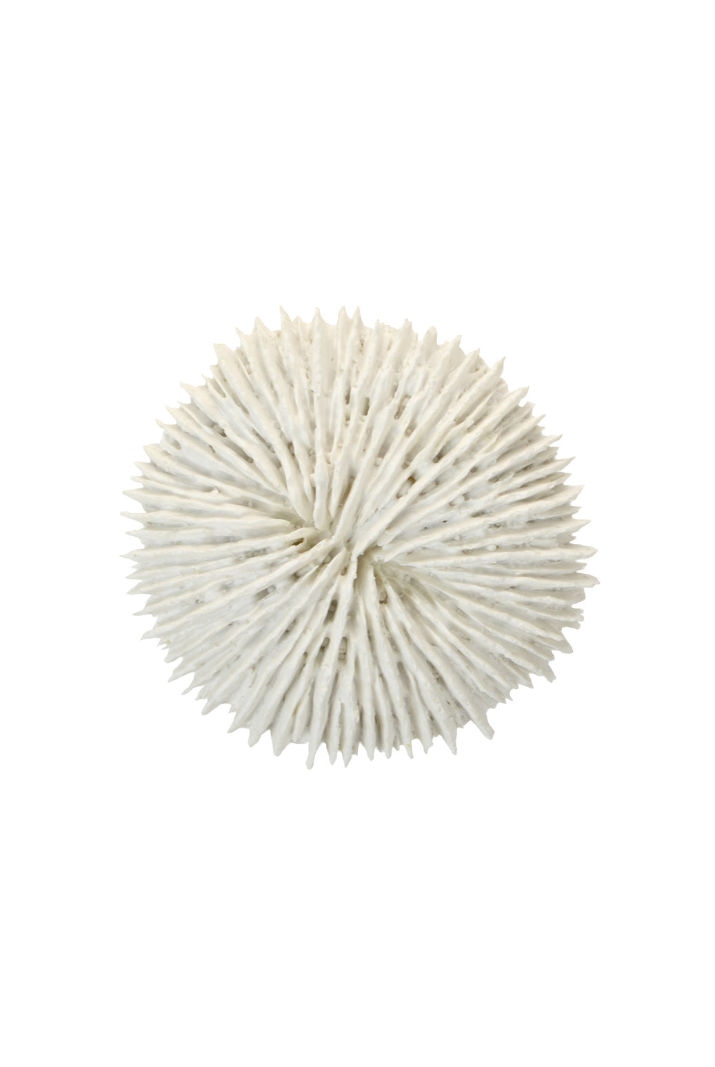 Cayman Resin Coral Ornament - Magpie Style
