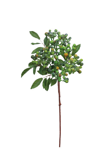 Pepper Berry Spray Frosty Green - Magpie Style