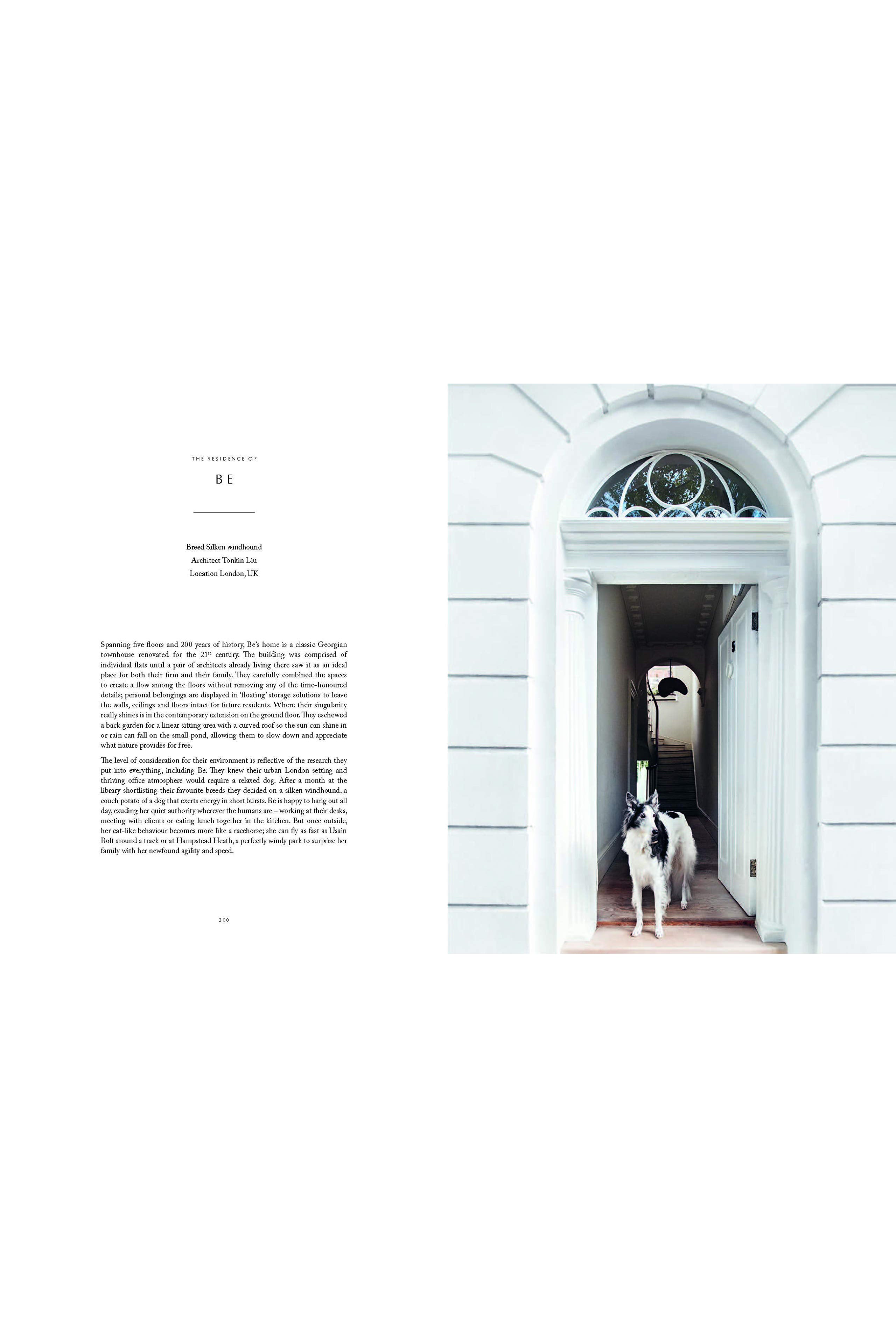 Resident Dog Volume 2 - Magpie Style