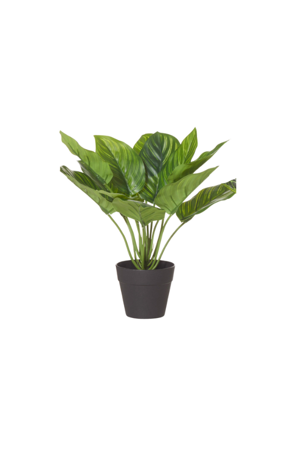 Classic Stripe Small Garden Pot - Magpie Style