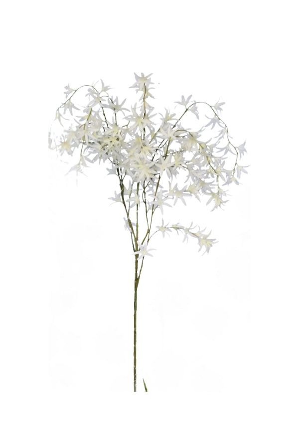Wild Orchid Tree - White - Magpie Style