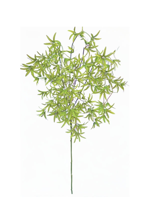 Wild Orchid Tree - Green - Magpie Style