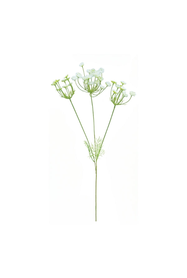 Wild Queen Anne's Lace - 3 Flower - Magpie Style