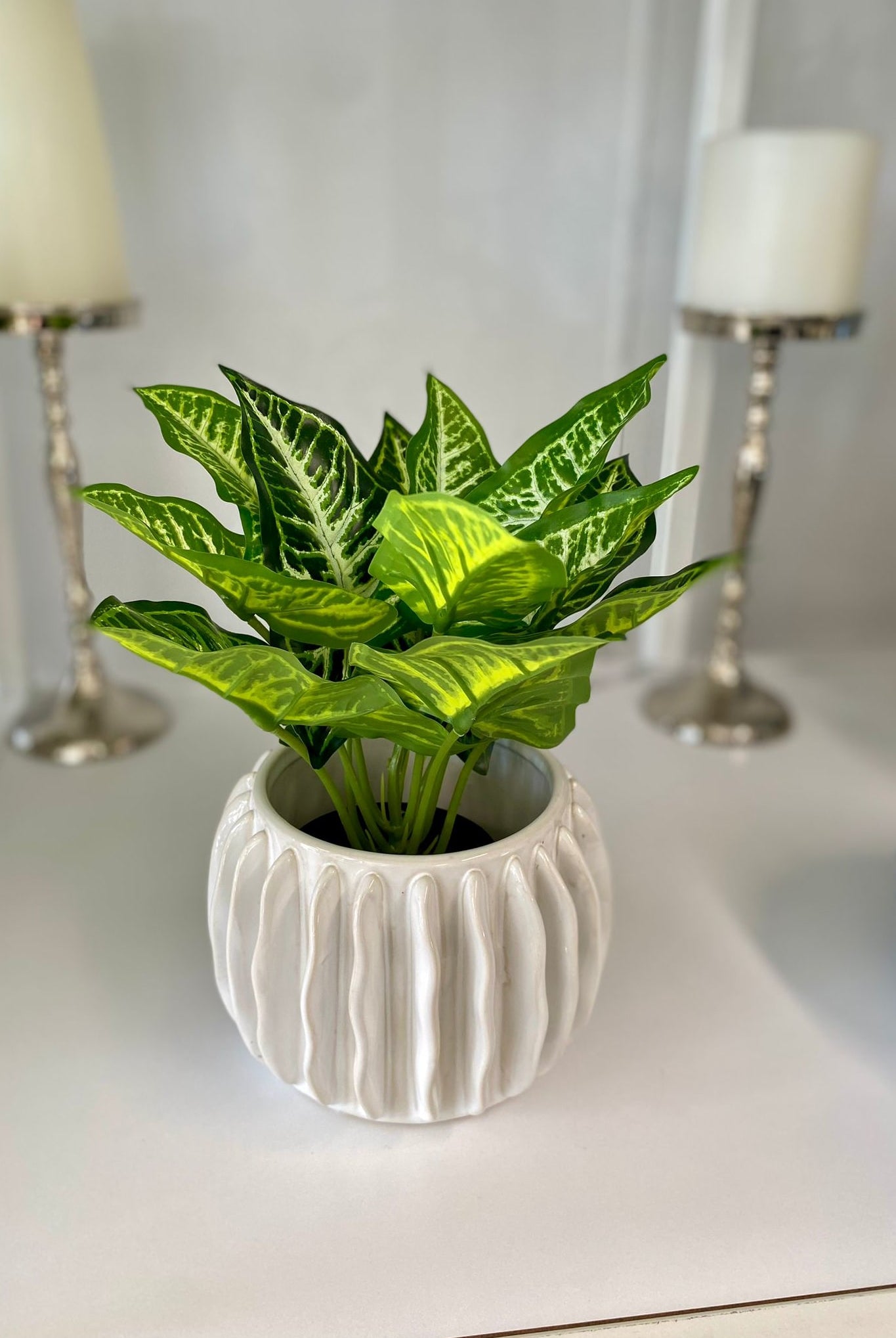 Anemone Ceramic Planter - Magpie Style